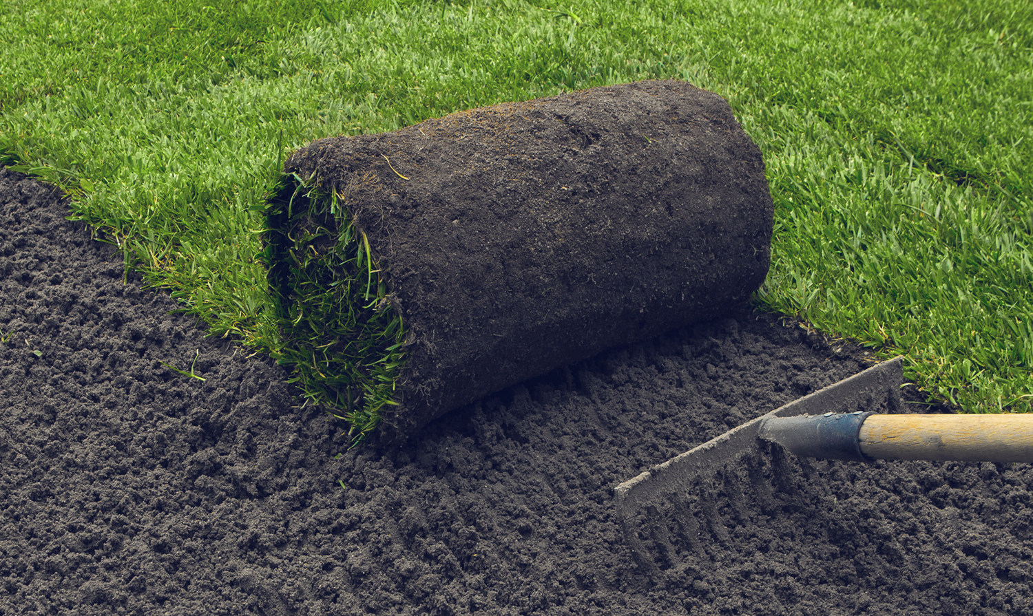 Bem-vindos à Riqueza Jardinagem e Paisagismo